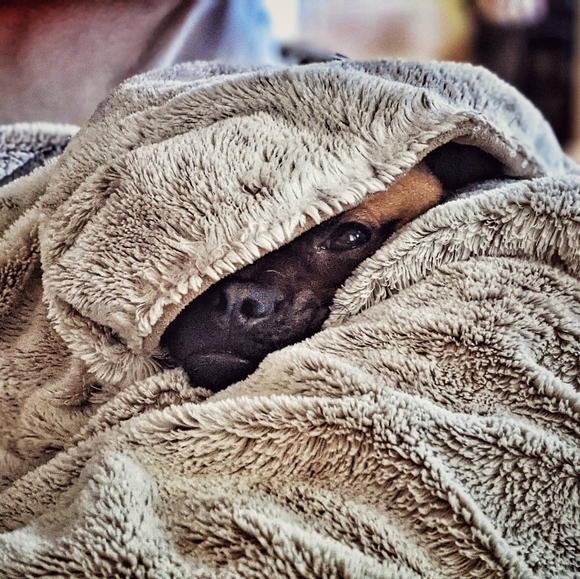 Meet your Posher, Elise - Picture 11 of 12